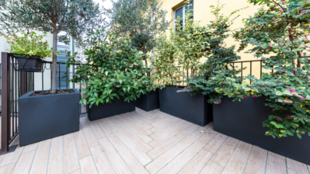 picture of Landscape Design 