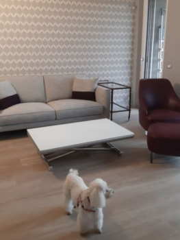 picture of Interior Architecture & Design 