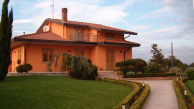 picture of Expertise and Landscape Design 