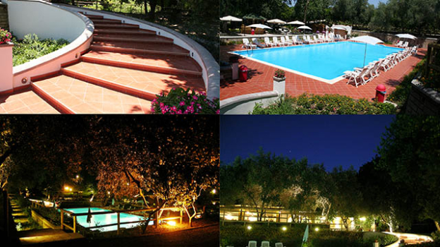 picture of Expertise and Landscape Design 