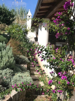 picture of Landscape Design and Patios & Terraces 
